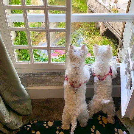 Hotel Le Moulin Du Roc 5*