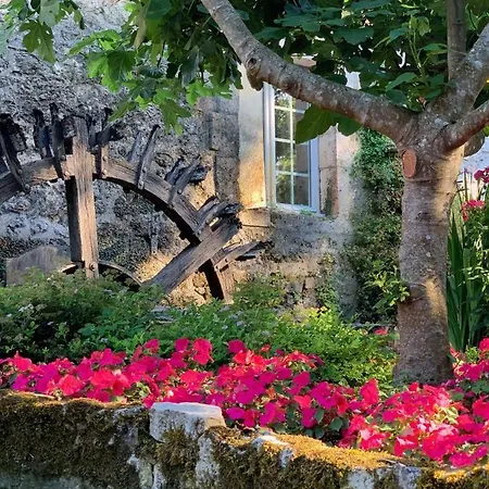 Le Moulin Du Roc Hotel