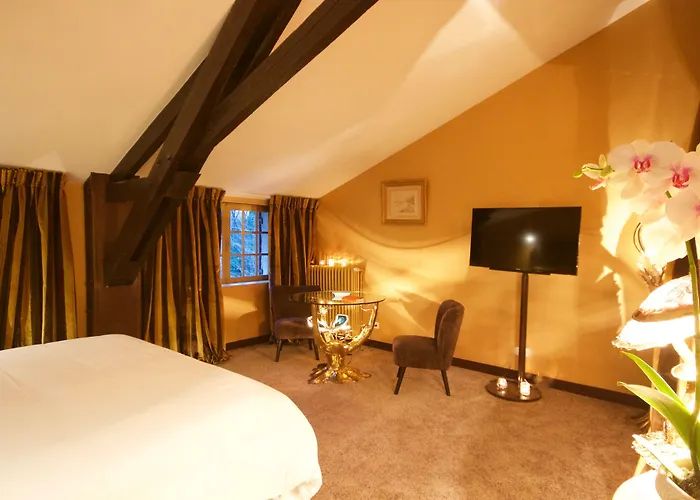 Hotel Le Moulin Du Roc 5*