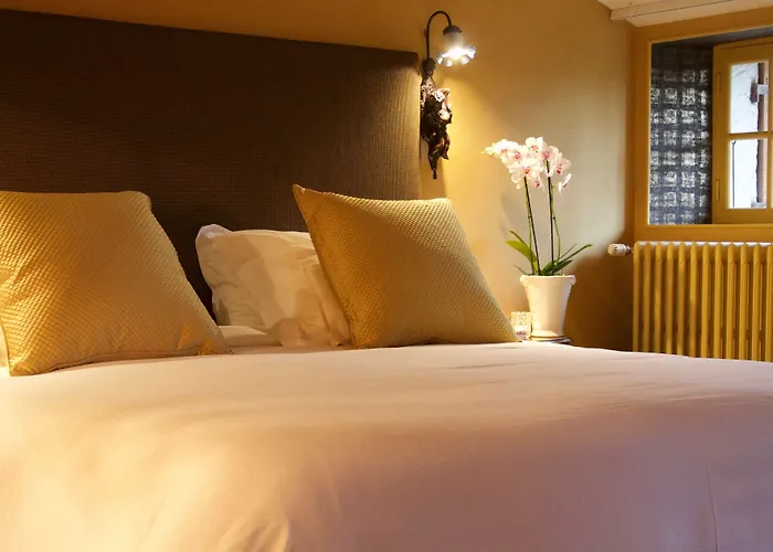 Le Moulin Du Roc Hotel 5*