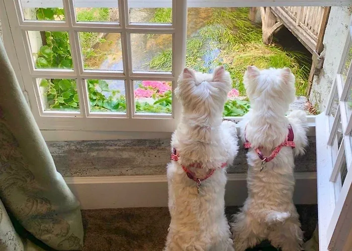 Hotel Le Moulin Du Roc 5*